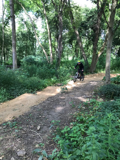 beck wood cycle path 2